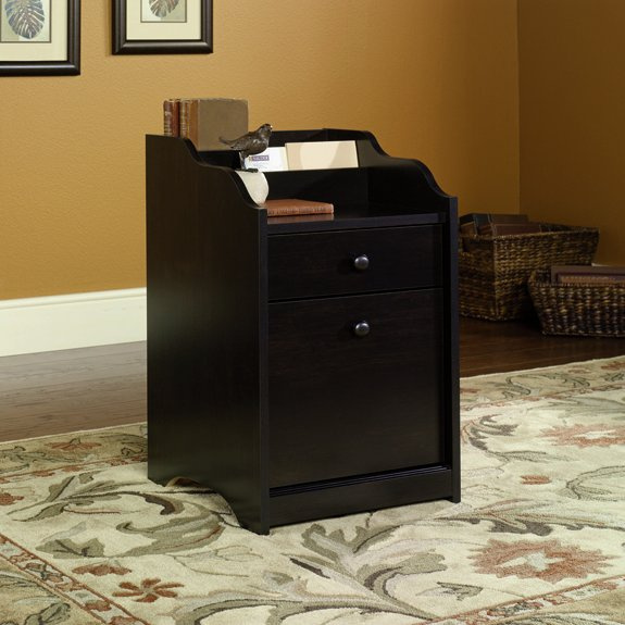 Warm Black Shaker File Cabinet Organizer