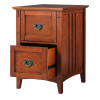 Medium Oak Mission Craftsman 2 Drawer File Cabinet